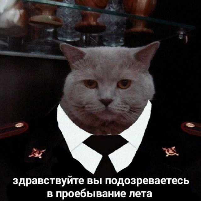 Веселые картинки в понедельник (18.08)