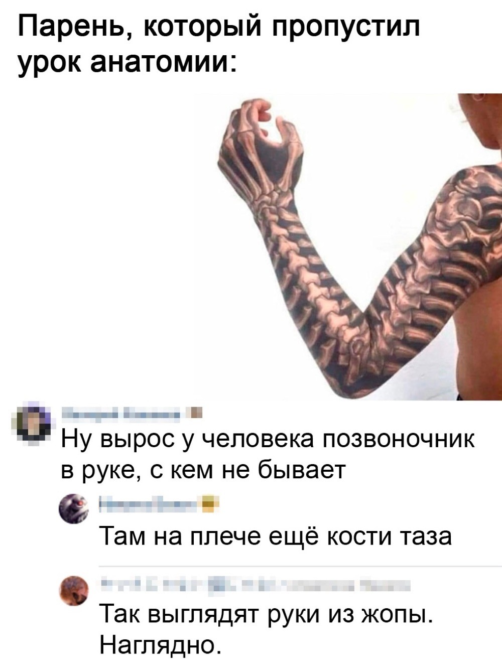 20403477.jpg