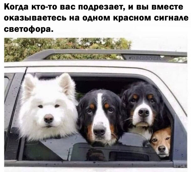 Любовь к машине начинается с покупки запчастей