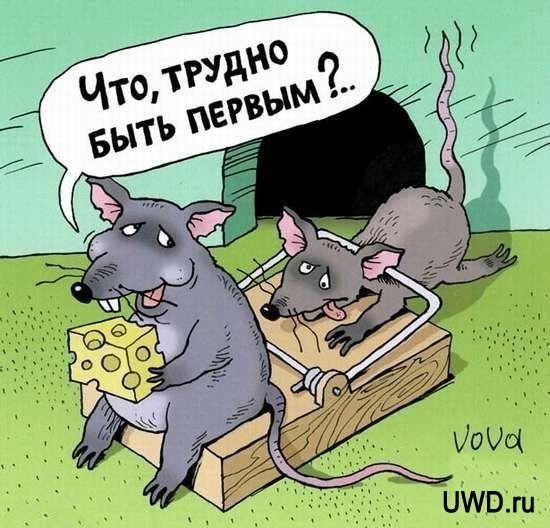 Картинки для деградации 258 ( разной степени свежести)