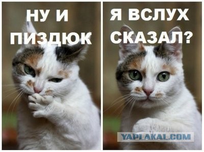 Ненависть преподавателя