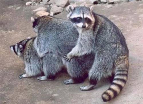 удалить! тест !