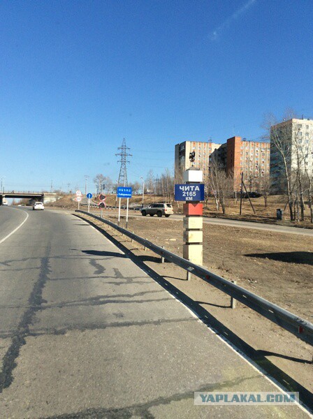 Озеленение Владивостока.