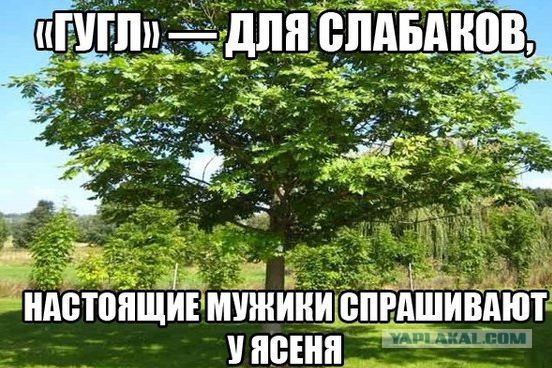 Приколы из Google
