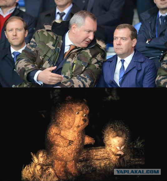 Наши любимые