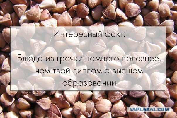 Интересные факты о разном