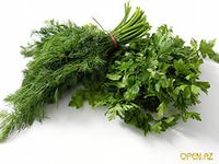 Йошкар-Ола - Сочи 2015 на авто