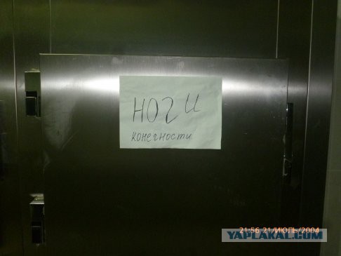 Новые трудовыебудни