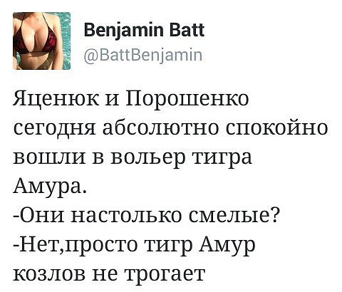 Картинки на злободневные темы выпуск №3
