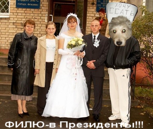 Как заставить мужа выгулять собаку