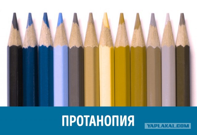 Причина всех проблем сударынь