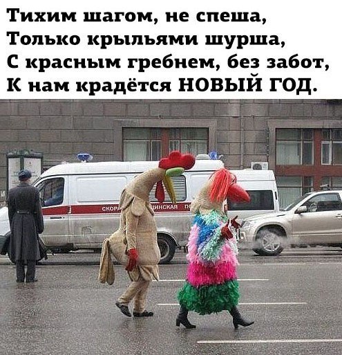 Порция картинок