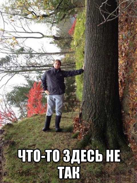 Забавных картинок не хотите ли?
