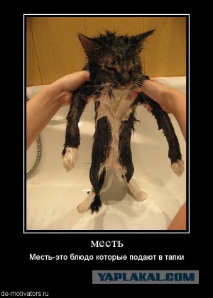 Страшная мстя