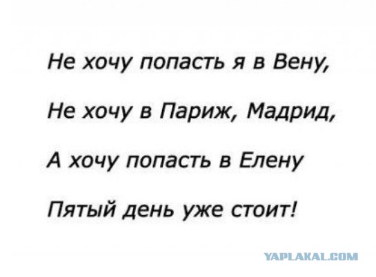 Соцсети. Муклам вход воспрещён
