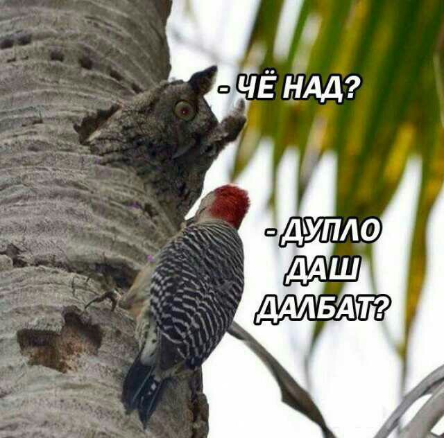 Романтический вечер одинокой девушки