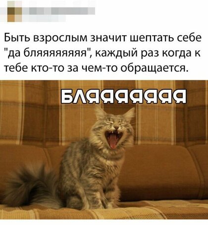 Анекдоты, истории и картинки с надписями