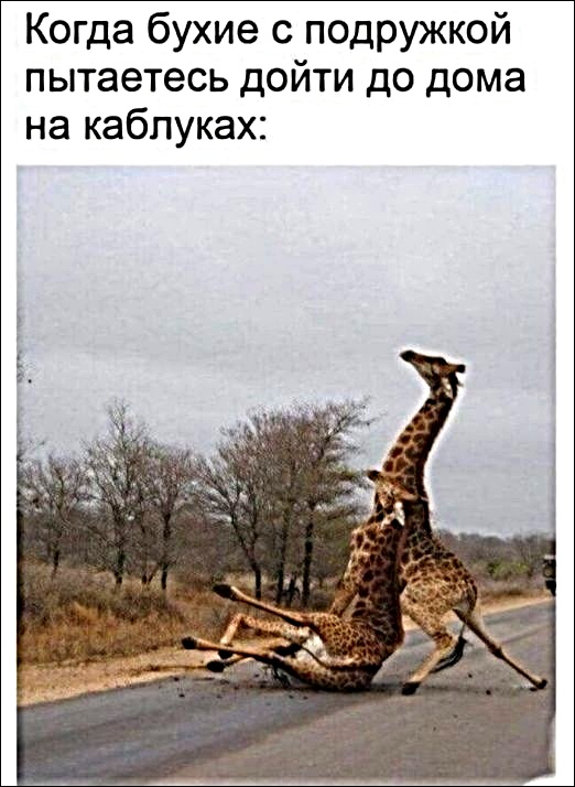 Картинки с надписями и анекдоты