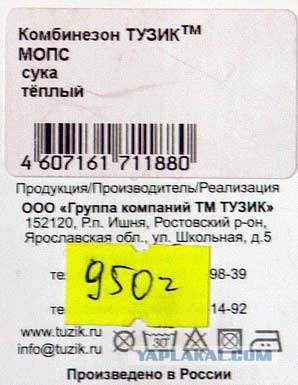 Мопс, сука, теплый!