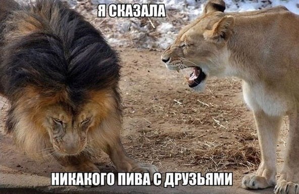 Чуток картинок 16.04.20