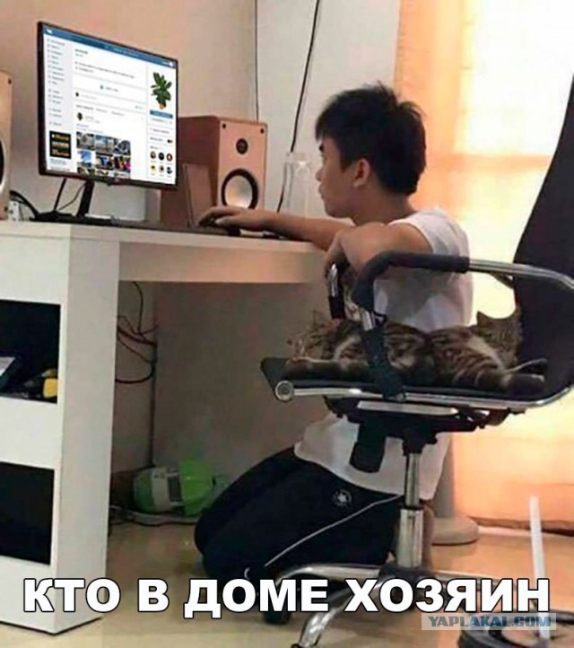 Чуток картинок 05.05.20