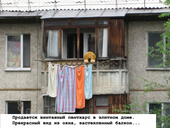Конкурс: подпись к картинке