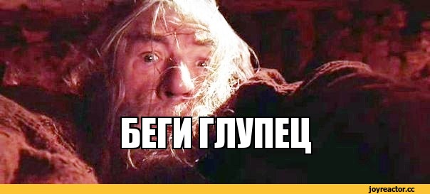 Картинка бегите глупцы