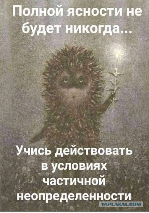 Пандемия. Коронавирус. Россия и мир. Последняя информация. Часть 27