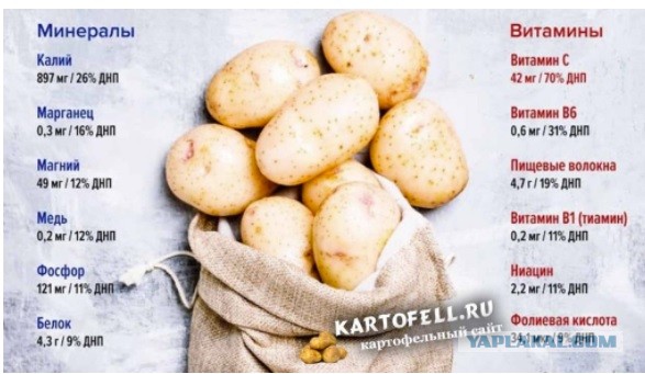 Зачем полные женщины делают маникюр?