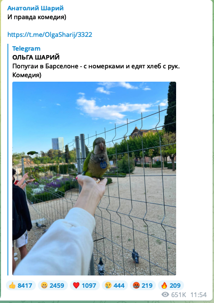 Шария выпустили под подписку