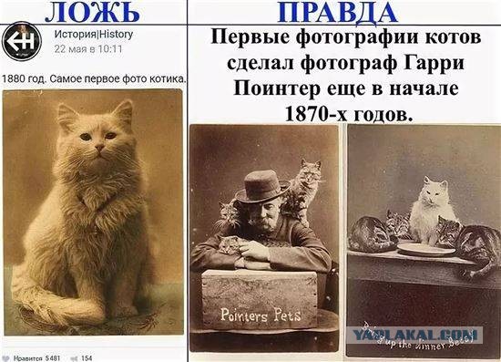 Картинки разные 16.06.22