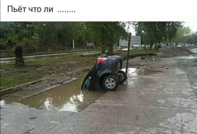 Картинки и мемы для настроения - 19