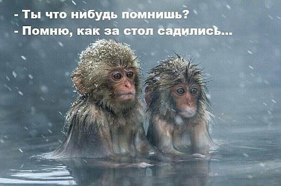Спустя два дня