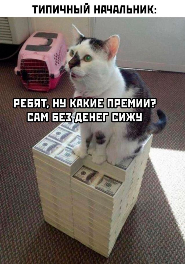 Картинки разные с надписями и без