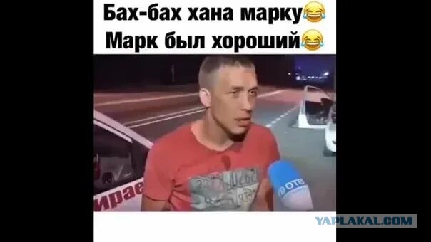 Куда же ты букашка лезешь.
