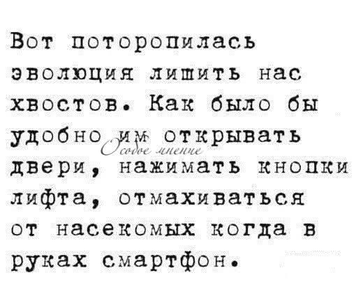 Воскресные картинки