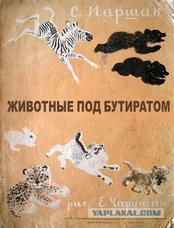 Новые книги