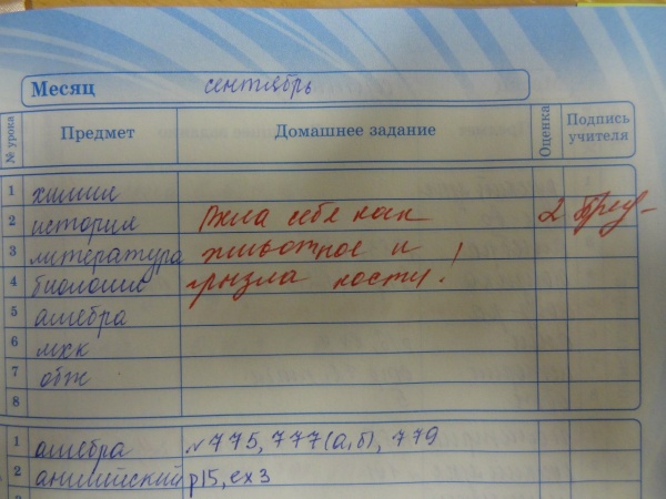 Учительские перлы из школьных дневников