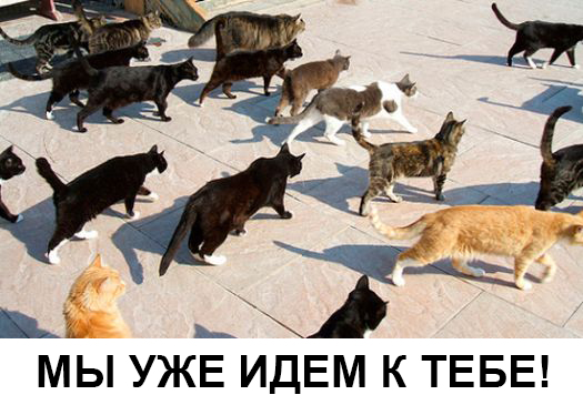 Нечеловеческая жестокость.