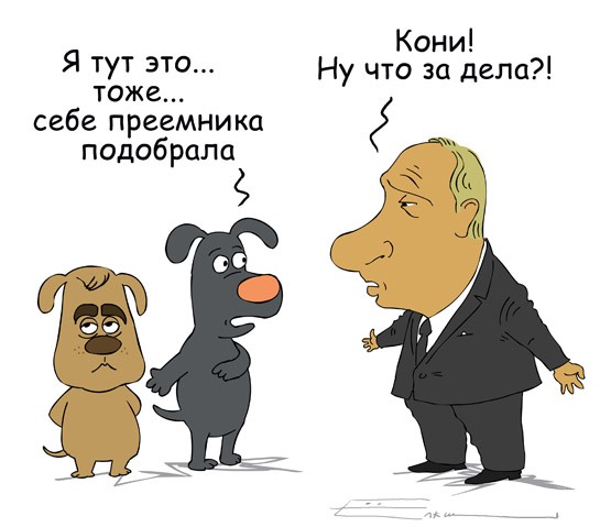 Смешные картинки и комментарии