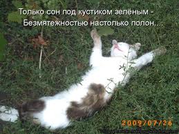 Чёрт, чёрт, чёрт!