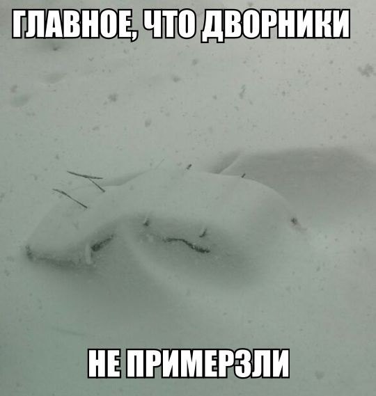 Веселые картинки