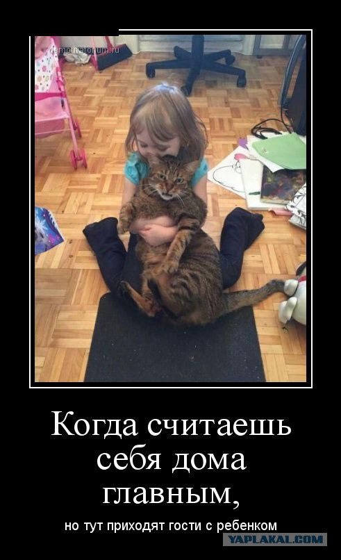 Приколы из сети на 18.05.2015