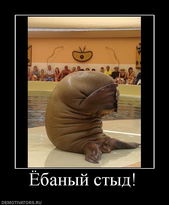 А на какой стороне конфликта будешь ты ЯПовец