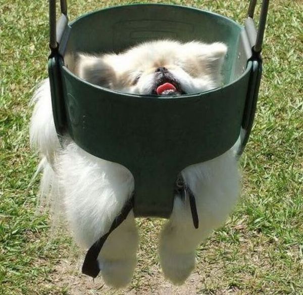 Смешные лица людей на экстремальных аттракционах