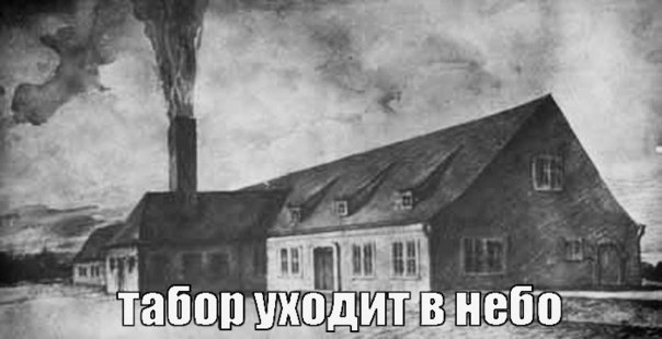 По ходу цыгане опиздюлились в Плеханове