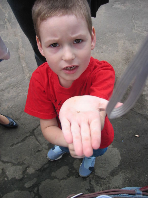 Россия выделит Южной Осетии в 2016 году более 8 миллиардов рублей