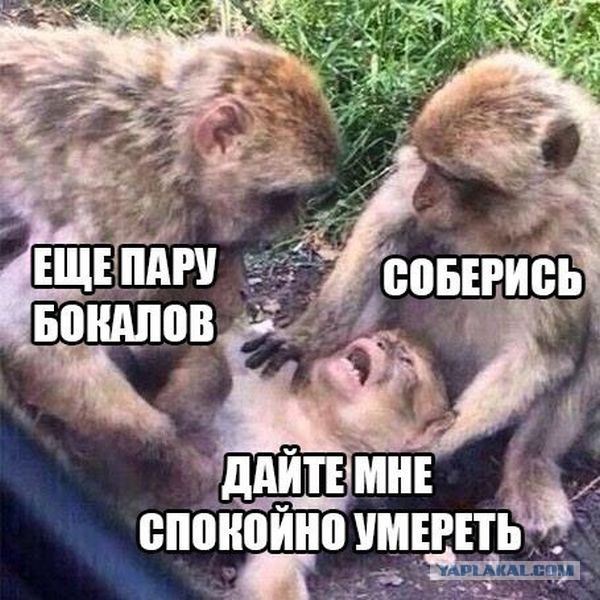 Wargaming 35