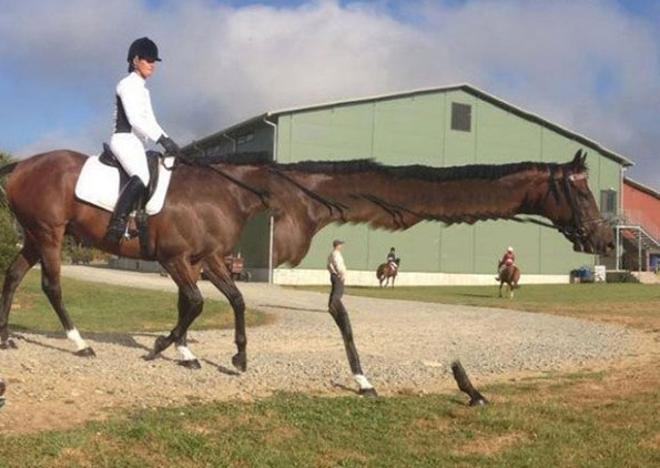 Мастера панорамного фото