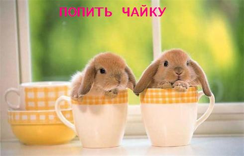 С ПЯТНИЦЕЙ!
